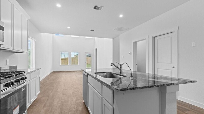 3719 Zoeys Wy in Fulshear, TX - Building Photo - Building Photo