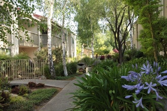 Spring Creek Apartments in Santa Clara, CA - Building Photo - Building Photo