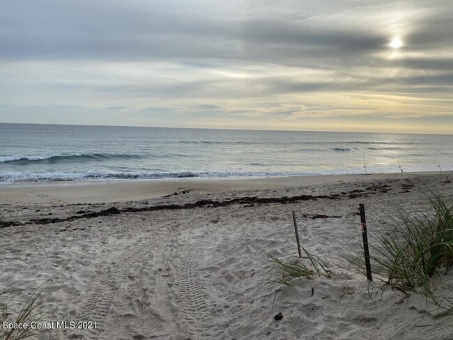 6201 Treetop Dr in Melbourne Beach, FL - Building Photo - Building Photo