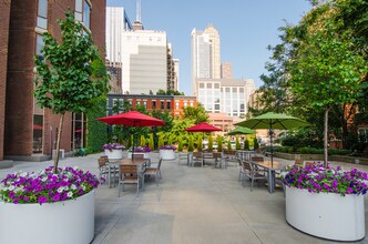 55 W Chestnut St-Unit -1003 in Chicago, IL - Building Photo - Building Photo