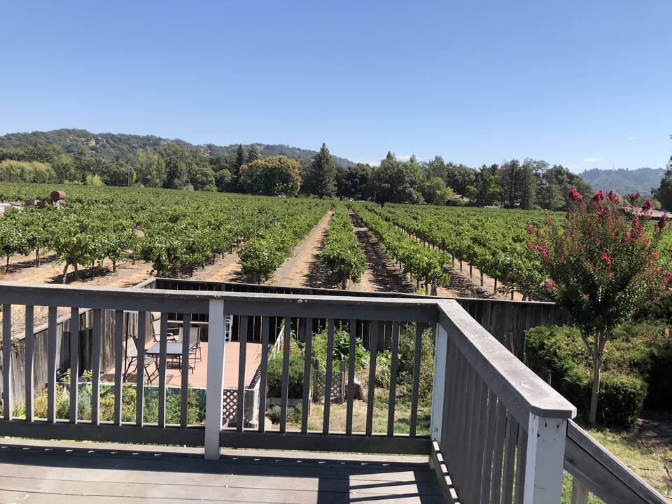 250 Pleasant Ave in Santa Rosa, CA - Foto de edificio
