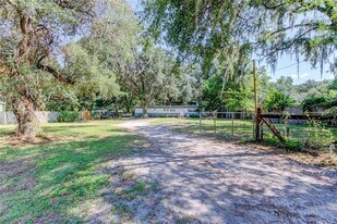24815 Audrey Rd in Land O Lakes, FL - Building Photo