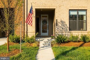 42338 Nelsonville Ter in Brambleton, VA - Building Photo