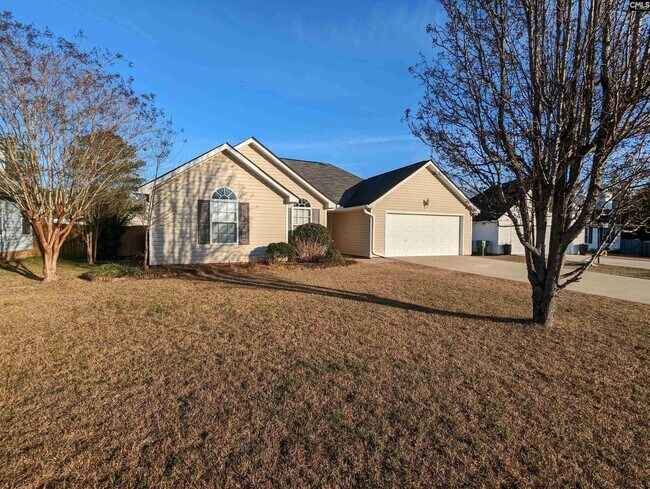 417 Ruddy Duck Ct in Blythewood, SC - Building Photo - Building Photo