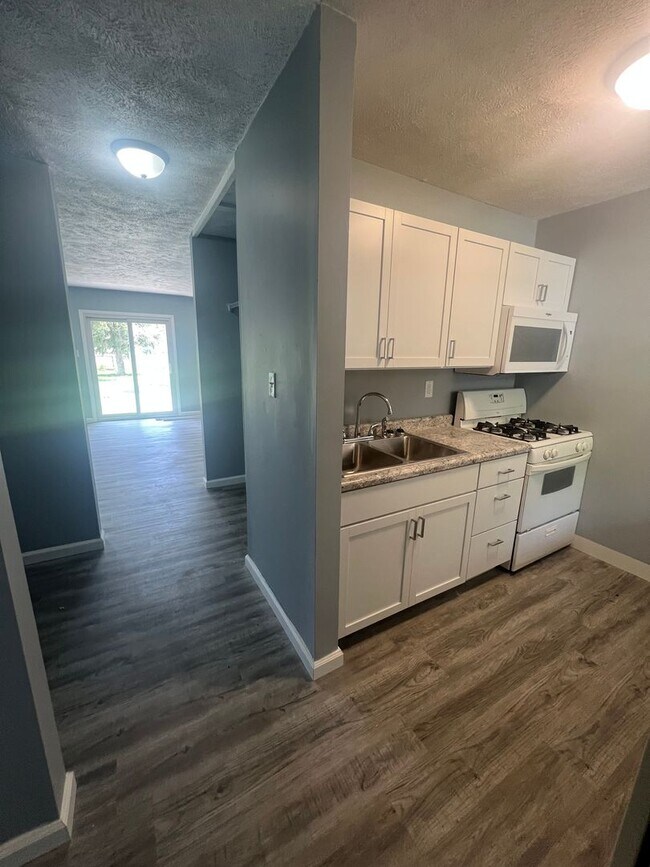 207 Lake St in Oakford, IL - Building Photo - Building Photo