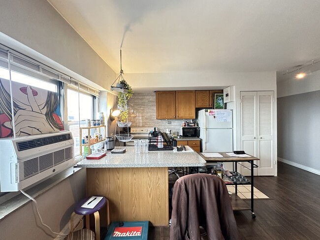 4950 N Marine Dr, Unit M03B in Chicago, IL - Building Photo - Building Photo