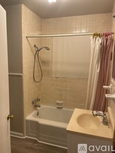 111 Japonica Ln in Jacksonville, TX - Foto de edificio - Building Photo