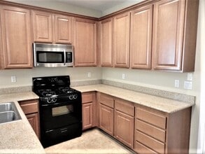 681 Taliput Palm Pl in Henderson, NV - Building Photo - Building Photo