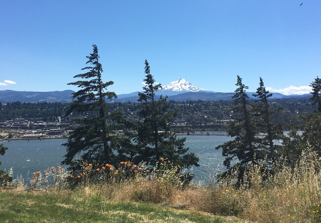 395 SW Eyrie Rd, Unit #1 in White Salmon, WA - Foto de edificio - Building Photo