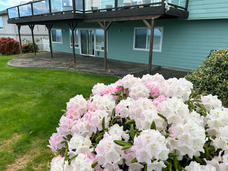 180 Coral Dr in Sequim, WA - Building Photo