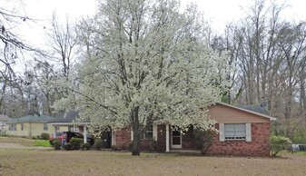 55 Beech Hills in Tuscaloosa, AL - Building Photo