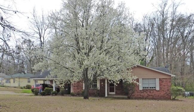 property at 55 Beech Hills