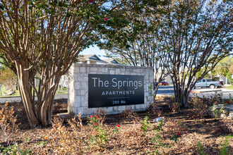 The Springs in Dripping Springs, TX - Foto de edificio - Other