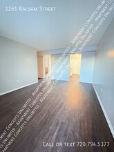 1261 Balsam St in Denver, CO - Building Photo - Building Photo