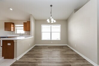 4218 Medbury Dr in Wesley Chapel, FL - Building Photo - Building Photo