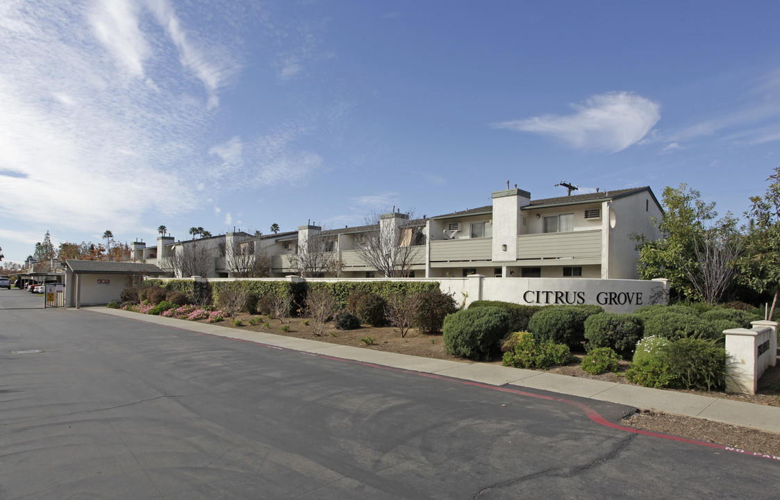 Citrus Grove Apartments in Escondido, CA - Building Photo