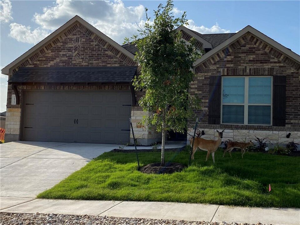 3421 Charade Dr in Leander, TX - Building Photo