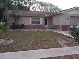 2319 Citrus Hill Rd in Palm Harbor, FL - Building Photo