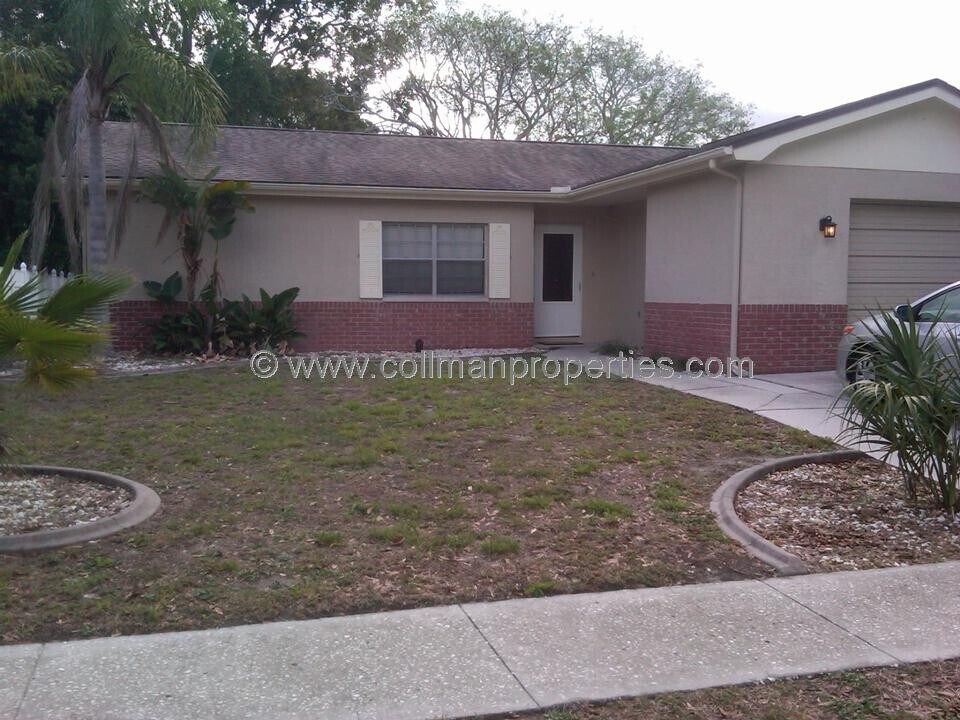2319 Citrus Hill Rd in Palm Harbor, FL - Building Photo