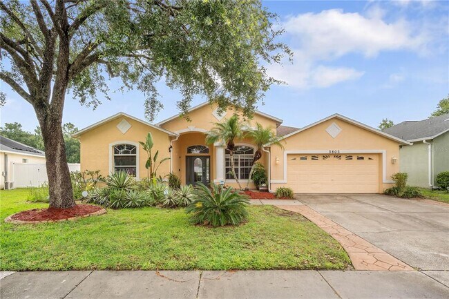 3803 Grand Forks Dr in Land O Lakes, FL - Building Photo - Building Photo