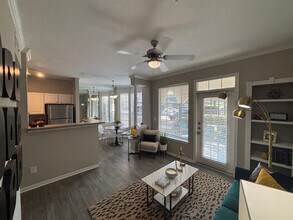 1011 Wonder World Dr in San Marcos, TX - Building Photo - Building Photo