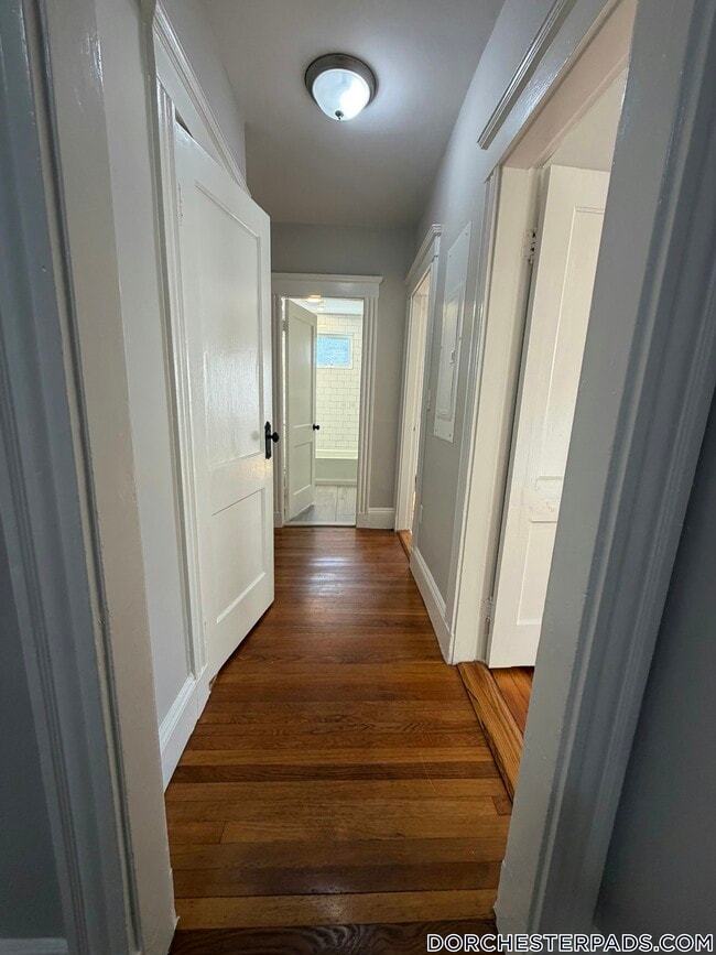 54 Alpha Rd, Unit 2 in Boston, MA - Building Photo - Building Photo