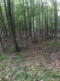 116 Hardenburgh Rd photo'