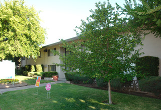 Terry Crest Apartments in Sacramento, CA - Building Photo - Building Photo