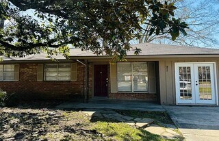 13358 Meadowlane Dr in Baton Rouge, LA - Building Photo