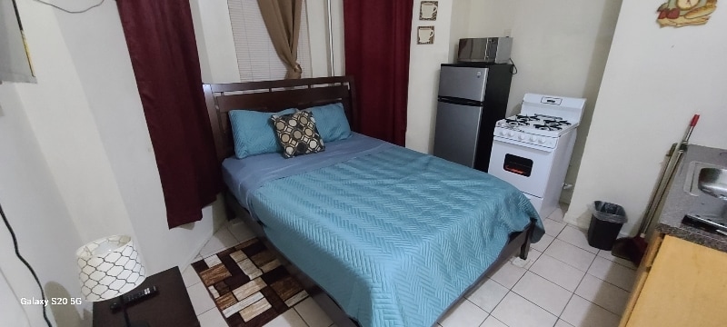 524 Timpson Pl in Bronx, NY - Building Photo