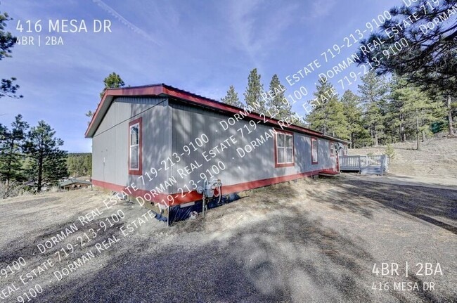416 Mesa Dr in Florissant, CO - Building Photo - Building Photo