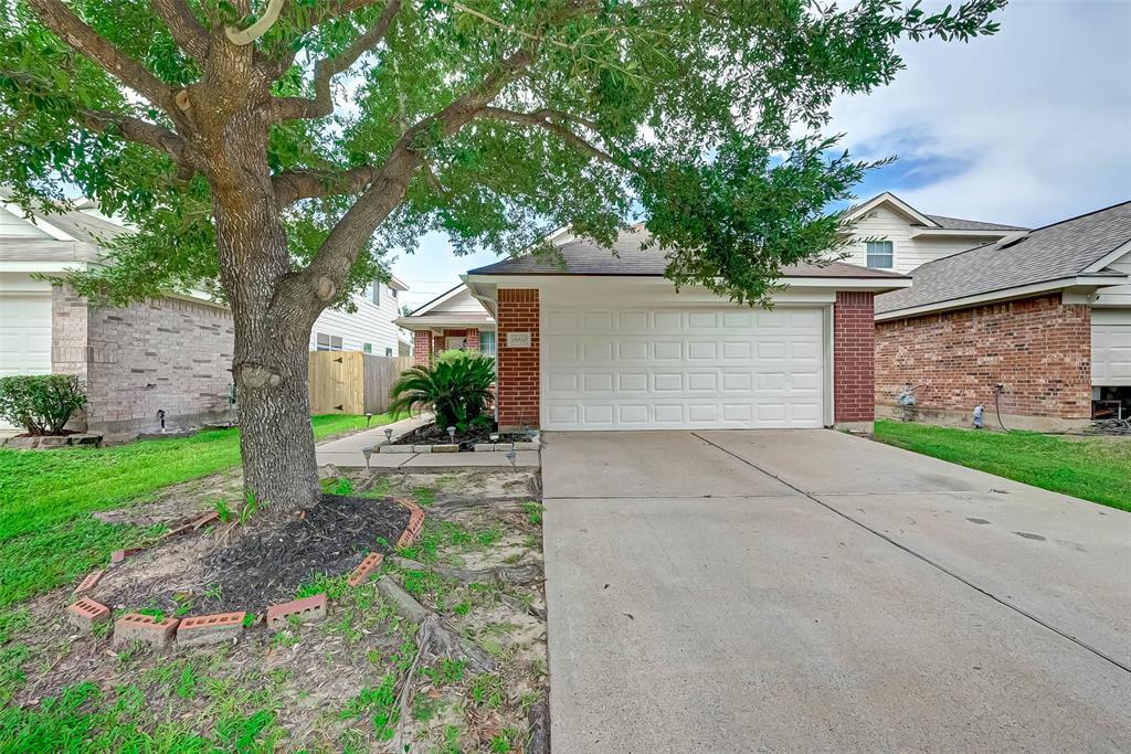 19206 Moss Meadow Ln in Katy, TX - Building Photo