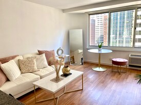 211 E Ohio St, Unit 1206 in Chicago, IL - Building Photo