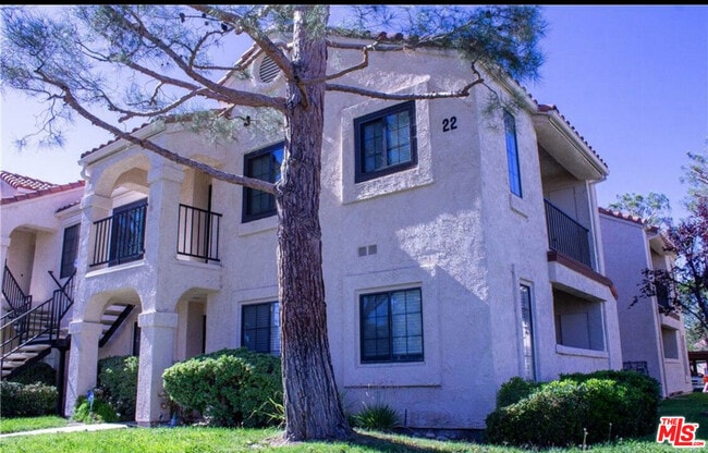 property at 2554 Olive Dr