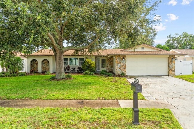 13236 84th Terrace in Seminole, FL - Building Photo - Building Photo