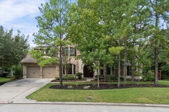 361 W Tupelo Green Cir in Spring, TX - Building Photo - Building Photo