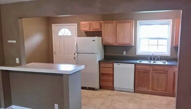 407 E Lincoln St, Unit 4 in De Soto, IL - Foto de edificio - Building Photo