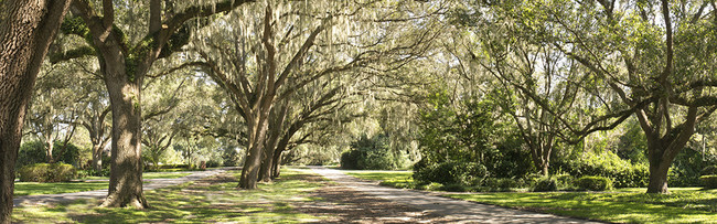 Apartamentos Alquiler en Southeast Ocala Ocala, FL