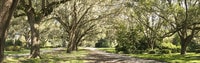 Apartments in Ocala, FL