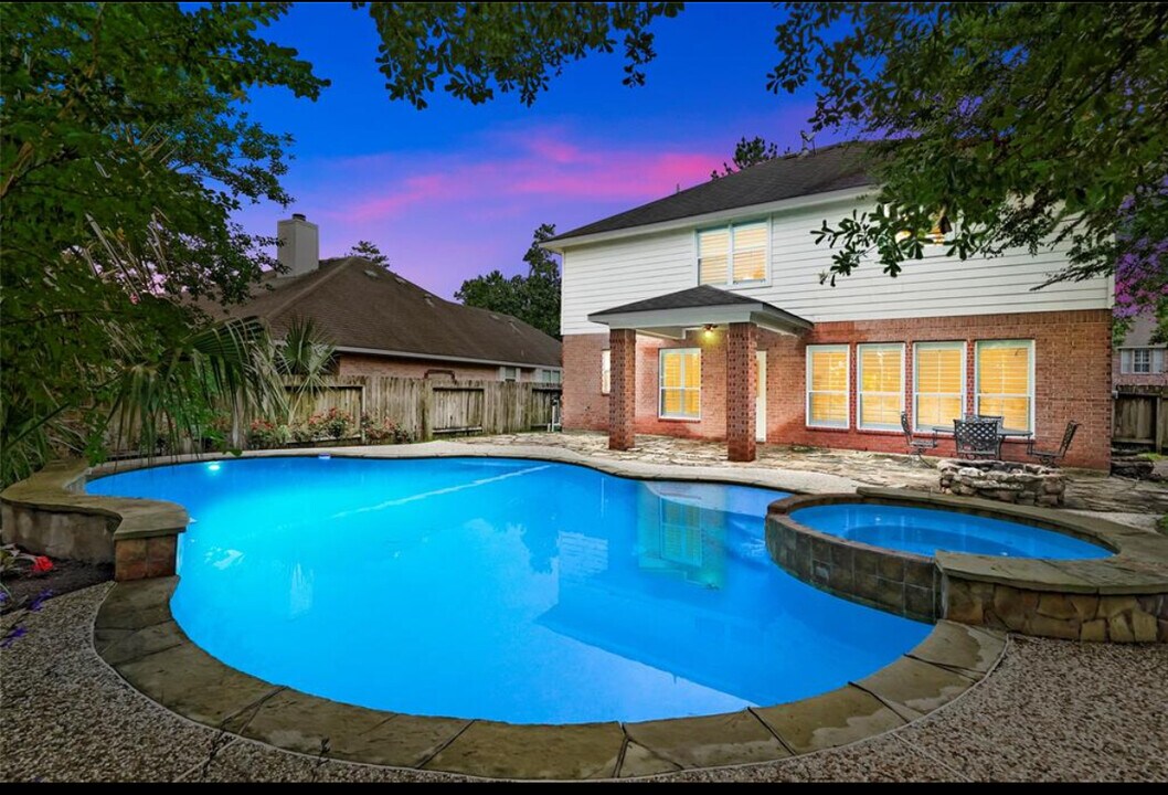19 Heron Hollow Ct in Spring, TX - Building Photo