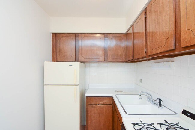 533 W Aldine Ave in Chicago, IL - Building Photo - Building Photo