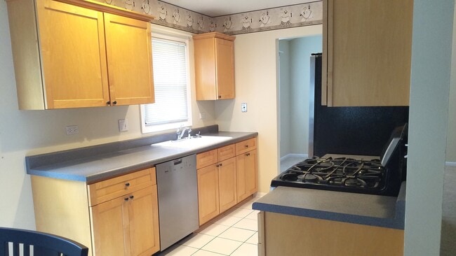 542 Crown Point Ct in Buffalo Grove, IL - Building Photo - Building Photo