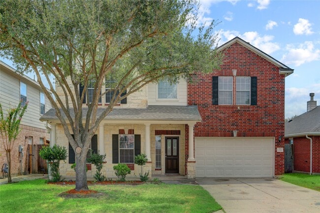 11110 Christmas Fern St