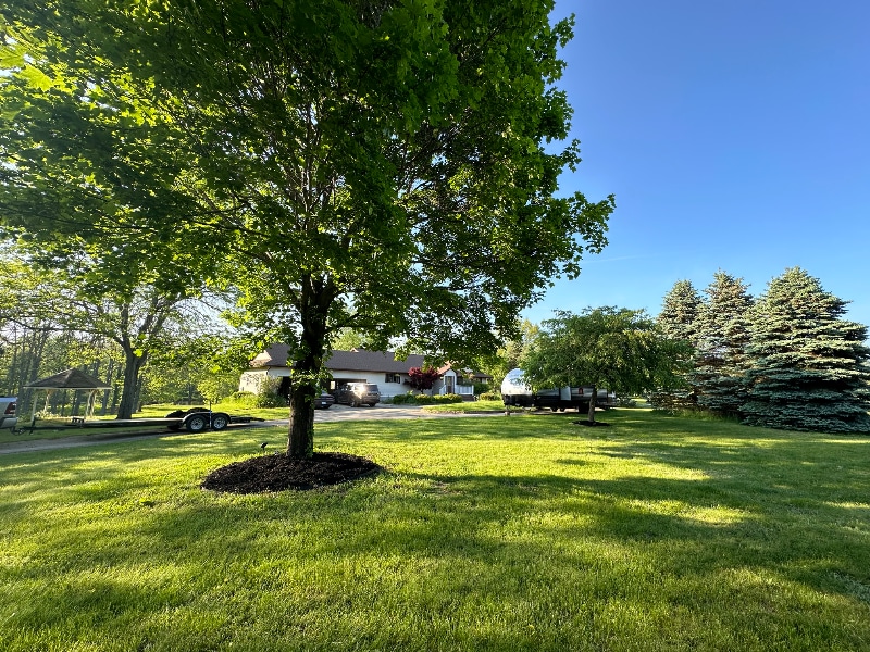 10091 Barnes Rd in Eaton Rapids, MI - Building Photo