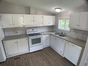 4202 NE 3rd St in Des Moines, IA - Building Photo - Building Photo