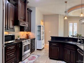 1319 Habanero Ln in Edinburg, TX - Building Photo - Building Photo