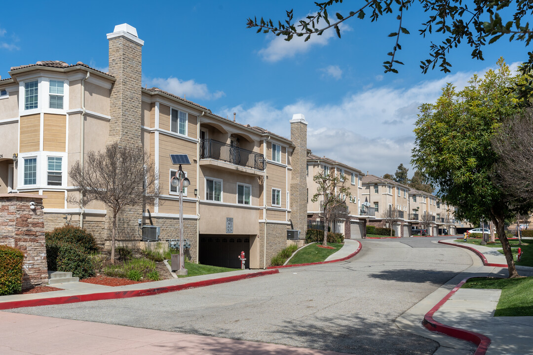 Sycamore Villa Luxury Townhomes in Rancho Cucamonga, CA - Foto de edificio