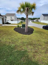 708 Treaty Ct in Myrtle Beach, SC - Building Photo - Building Photo
