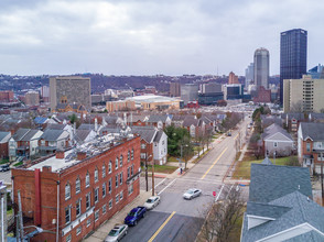 Webster St. Apartments in Pittsburgh, PA - Building Photo - Building Photo