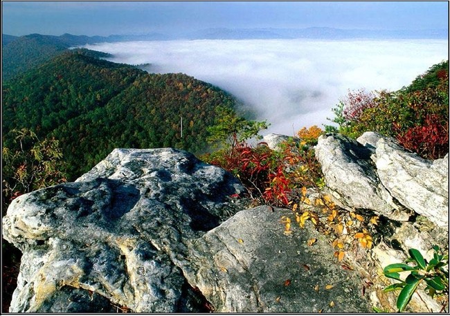 Marsee Village in Cumberland Gap, TN - Building Photo - Building Photo